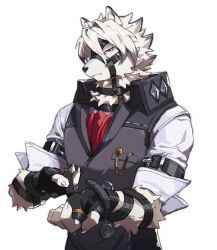 Rule 34 | 1boy, absurdres, ascot, black gloves, black vest, claws, closed mouth, furry, furry male, gloves, highres, jacket, looking at viewer, male focus, muzzle, red ascot, red eyes, solo, upper body, vest, von lycaon, white background, white jacket, wolf boy, yed (yedsilent), zenless zone zero