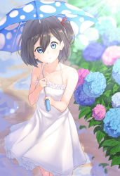 Rule 34 | 1girl, bare shoulders, blue eyes, blue footwear, blue umbrella, blurry, blurry background, blush, breasts, brown hair, collarbone, commentary request, day, depth of field, dress, flower, hair between eyes, hair ribbon, head tilt, highres, holding, holding umbrella, hydrangea, looking at viewer, one side up, original, outdoors, parted lips, pink flower, polka dot, polka dot umbrella, puddle, red ribbon, ribbon, sleeveless, sleeveless dress, small breasts, solo, sundress, sunlight, suzunari shizuku, umbrella, water, white dress, yuki arare