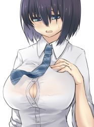 Rule 34 | 1girl, black hair, blue eyes, blue necktie, blush, bra, bra visible through clothes, breasts, cleavage, collared shirt, dress shirt, hand on own chest, large breasts, long sleeves, necktie, original, plaid, plaid clothes, plaid necktie, plaid neckwear, sakura inu, see-through, shirt, short hair, simple background, sketch, solo, sweat, underwear, upper body, white background, white bra, white shirt