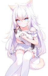 Rule 34 | 1girl, akinohijira, animal, animal ear fluff, animal ears, blue eyes, blush, cat, cat ears, cat tail, collarbone, commentary request, dress, frilled dress, frills, highres, holding, holding animal, holding cat, knees together feet apart, long hair, looking at viewer, original, pantyhose, parted lips, ragdoll (cat), sidelocks, simple background, sitting, tail, white background, white dress, white pantyhose