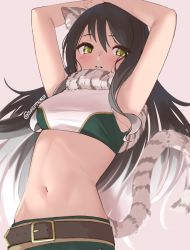 Rule 34 | 1girl, animal ear fluff, animal ears, armpits, arms up, artist name, belt, belt buckle, blush, breasts, brown hair, buckle, commentary, crop top, dated commentary, long hair, looking at viewer, navel, parted lips, pink background, princess connect!, shiori (princess connect!), shirt, simple background, skeptycally, sleeveless, sleeveless shirt, small breasts, solo, stomach, tail, tiger tail, upper body, white shirt, yellow eyes
