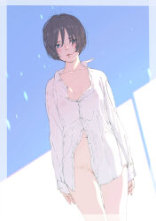 Rule 34 | 1girl, arms at sides, blue eyes, bottomless, brown hair, collared shirt, commentary request, dress shirt, gluteal fold, groin, highres, long sleeves, looking at viewer, naked shirt, original, partially unbuttoned, shirt, short hair, solo, standing, tanakomu, white shirt