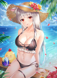 Rule 34 | 1girl, :p, absurdres, animal ear fluff, animal ears, bare shoulders, bikini, black bikini, black ribbon, blue sky, blunt bangs, blush, breasts, brown hat, cat ears, cat girl, cleavage, closed mouth, cloud, collarbone, creature, cup, drinking glass, flower, food, frilled bikini, frills, fruit, hat, hat flower, hat ornament, hibiscus, hibiscus petals, highres, horizon, ice, ice cube, large breasts, lemon, lemon slice, long hair, looking at viewer, navel, ocean, original, petals, red eyes, red flower, ribbon, side-tie bikini bottom, silver hair, sitting, skindentation, sky, smile, solo, ssong2, stomach, straight hair, straw hat, swimsuit, thighs, tongue, tongue out, very long hair, water, yellow flower