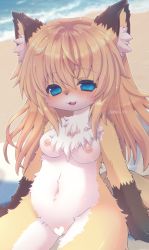 Rule 34 | 1girl, animal ear fluff, animal ears, beach, blonde hair, blue eyes, blush, body fur, breasts, censored, commentary request, fangs, fox ears, fox girl, fox tail, furry, furry female, groin, heart, heart censor, highres, long hair, navel, nipples, nude, ocean, open mouth, original, outdoors, pussy, racal ra, sitting, small breasts, smile, solo, tail, thighs