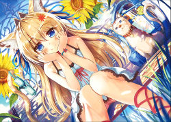 Rule 34 | 1girl, :3, akabane (zebrasmise), animal ears, bench, blonde hair, blue eyes, blush, bracelet, breasts, cat, cat ears, cat tail, dress, dutch angle, flower, goggles, grass, hair ribbon, head rest, jewelry, long hair, looking at viewer, original, panties, pantyshot, ribbon, ringed eyes, sitting, small breasts, smile, solo, striped clothes, striped panties, sunflower, tail, underwear, unworn goggles