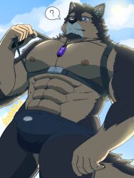 Rule 34 | 1boy, ?, abs, alternate costume, animal ears, bara, blue male swimwear, brown fur, bulge, chest belt, cloud, cloudy sky, dog boy, dog ears, facial hair, feet out of frame, from below, furry, furry male, goatee, harness pull, highres, jewelry, large pectorals, live a hero, looking at viewer, male focus, male swimwear, mallards, muscular, muscular male, navel, necklace, nipples, pectorals, pubraseer (live a hero), pulled by self, short hair, sky, solo, spoken question mark, stomach, swim briefs, thick eyebrows, thick thighs, thighs, topless male, two-tone fur, underbust