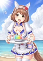 Rule 34 | 1girl, alternate costume, animal ears, aonuma kiyoharu, beach, bikini, braid, breasts, brown hair, cleavage, collarbone, commentary request, crown braid, ear covers, food, hair ornament, headband, highres, holding, holding tray, horse ears, horse tail, lens flare, looking at viewer, medium breasts, ocean, open mouth, outdoors, shaved ice, sky, solo, swimsuit, tail, thighhighs, translation request, tray, umamusume, waitress, yukino bijin (umamusume)