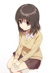 Rule 34 | 1girl, black skirt, breasts, brown eyes, closed mouth, collared shirt, commentary request, kawai makoto, long hair, looking at viewer, medium breasts, own hands together, pleated, pleated skirt, shirt, simple background, sitting, skirt, smile, solo, sweater, v-neck, v arms, white background, white shirt
