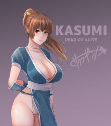 Rule 34 | 1girl, arm guards, arms behind back, breasts, brown eyes, brown hair, choker, cleavage, closed mouth, commentary request, dead or alive, high ponytail, highres, kasumi (doa), large breasts, long hair, looking at viewer, matching hair/eyes, ninja, panties, pelvic curtain, ponytail, sakuraginga, standing, thighhighs, thighs, underwear, white thighhighs