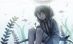 Rule 34 | 1other, androgynous, evanescent existence, closed eyes, green hair, hood, hooded jacket, hoodie, jacket, len&#039;en, necktie, shitodo aoji, short hair, shorts, sitting, solo, underwater, yamanoskk