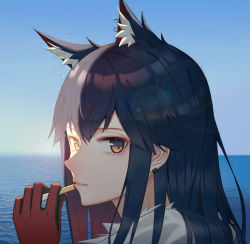 Rule 34 | 1girl, absurdres, animal ear fluff, animal ears, arknights, black hair, blue sky, brown eyes, chinese commentary, cigarette, commentary request, day, earrings, extra ears, from side, gloves, gradient hair, highres, holding, holding cigarette, horizon, jewelry, long hair, looking at viewer, looking to the side, multicolored hair, ocean, official alternate costume, outdoors, parted lips, portrait, red gloves, red hair, sky, smile, solo, syouko jiaozijun, texas (arknights), texas (winter messenger) (arknights), water