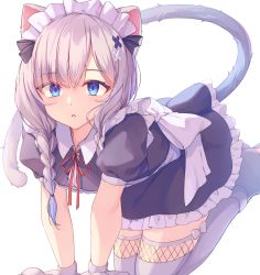Rule 34 | 1girl, all fours, animal ears, animal hands, blue eyes, bow, braid, braided bangs, cat ears, cat girl, cat tail, commentary, constricted pupils, dress, eyelashes, fishnet thighhighs, fishnets, forehead, frilled dress, frills, full body, grey hair, hair ornament, hair ribbon, kneeling, long hair, maid, maid headdress, miyanome, open mouth, original, parted bangs, puffy short sleeves, puffy sleeves, red ribbon, ribbon, shaded face, shadow, short sleeves, simple background, solo, tail, thighhighs, white background, white bow, white thighhighs, x hair ornament