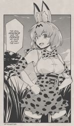 Rule 34 | :d, animal ears, bare shoulders, bow, bowtie, breasts, cowboy shot, elbow gloves, english text, fang, gloves, greyscale, hands on own hips, high-waist skirt, kemono friends, large breasts, monochrome, open mouth, outdoors, outside border, print bow, print bowtie, serval (kemono friends), serval print, short hair, skirt, smile, speech bubble, thighhighs, twitter username, tyrone, zettai ryouiki