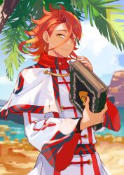 Rule 34 | 1boy, book, closed mouth, earrings, fire emblem, fire emblem engage, hair between eyes, highres, holding, holding book, jewelry, long sleeves, mikami, nintendo, orange hair, palm tree, pandreo (fire emblem), priest, robe, sand, short hair, sky, solo, tree, yellow eyes