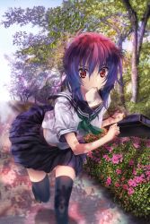 Rule 34 | 1girl, black thighhighs, bread slice, briefcase, bush, day, flower, food, food in mouth, mouth hold, original, outdoors, park, pavement, pleated skirt, purple hair, red eyes, running, school uniform, serafuku, shadow, shoes, short sleeves, skirt, solo, thighhighs, toast, toast in mouth, tree, zen99, zettai ryouiki