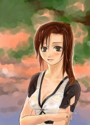 Rule 34 | 00s, 1girl, blurry, blurry background, blush, breasts, brown eyes, brown hair, cleavage, closed mouth, collarbone, covered erect nipples, expressionless, female focus, final fantasy, final fantasy xi, hume, lips, long hair, looking at viewer, medium breasts, nature, no bra, outdoors, ponytail, puipui, see-through, short sleeves, solo, upper body, water, water drop, wet, wet clothes, wet hair