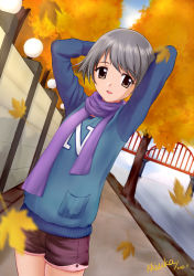 Rule 34 | 1girl, absurdres, arms behind head, arms up, artist name, blush, brown eyes, character request, dated, grey hair, highres, leaf, looking at viewer, memories off 2nd, miuka, parted lips, purple scarf, scarf, short hair, signature, smile, solo