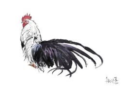 Rule 34 | animal, animal focus, bird, black feathers, chicken, feathers, no humans, original, rooster, simple background, white background, white feathers, yk funa