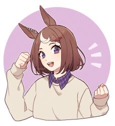 Rule 34 | 1girl, animal ears, brown hair, clenched hands, collared shirt, cropped torso, hair ornament, hairclip, hands up, horse ears, looking at viewer, multicolored hair, nm222hz, notice lines, open mouth, purple eyes, purple shirt, shirt, short hair, smile, solo, streaked hair, sweater, teeth, tsurumaru tsuyoshi (umamusume), twitter username, umamusume, upper body, upper teeth only, watermark