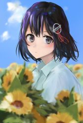 Rule 34 | 1girl, 73suke, absurdres, black hair, blue sky, blurry, brown eyes, cloud, collared shirt, commentary request, day, depth of field, dress shirt, flower, haguro (kancolle), hair ornament, highres, kantai collection, looking at viewer, outdoors, shirt, short hair, sky, solo, sunflower, upper body, white shirt