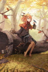 Rule 34 | 1girl, animal, animal on hand, autumn, barefoot, bird, black dress, blurry, blurry foreground, blush, braid, branch, brown hair, capelet, closed mouth, commentary request, day, depth of field, dress, eyebrows hidden by hair, green eyes, hair between eyes, hair over shoulder, hand up, highres, log, long hair, long sleeves, mushroom, nail polish, niwako, original, outdoors, puffy long sleeves, puffy sleeves, raccoon, red capelet, red nails, single braid, sitting, smile, solo, squirrel, tree