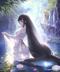 Rule 34 | 10s, 1girl, absurdly long hair, ass, black hair, bloom, blunt bangs, breasts, cliff, clothes lift, company name, cygames, day, dress, dress lift, flower, from behind, hair ornament, hisakata souji, lily (flower), lily pad, long hair, looking back, lotus, medium breasts, nature, off shoulder, outdoors, pond, purple eyes, see-through, see-through silhouette, shadowverse, shingeki no bahamut, sideboob, sidelocks, solo, thigh gap, tree, very long hair, wading, water, waterfall, waterlily, watermark, wet, wet clothes, white dress