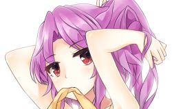Rule 34 | 1girl, clothes in mouth, commentary request, fuente, hand in own hair, looking at viewer, ponytail, purple hair, red eyes, solo, touhou, upper body, watatsuki no yorihime