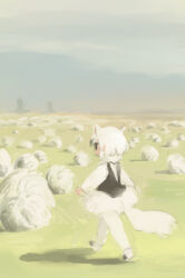 Rule 34 | 1girl, animal ears, black eyes, black hair, black vest, cloud, cloudy sky, colored tips, commentary request, day, expressionless, field, from behind, full body, grass, grey sky, highres, jitome, kemono friends, mixed-language commentary, multicolored hair, outdoors, painterly, pantyhose, pero (sabuaka bacon), profile, romaji commentary, shadow, shirt, short hair, skirt, sky, solo, southern tamandua (kemono friends), tail, tumbleweed, vest, walking, white hair, white pantyhose, white shirt, white skirt