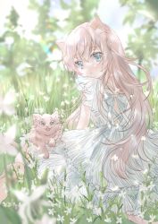 Rule 34 | 1girl, animal, animal ears, animal on lap, blue eyes, bunapi (bunapii), cat, cat on lap, cat tail, day, dress, flower, grass, highres, light brown hair, long hair, looking at viewer, looking back, on lap, original, outdoors, summer, tail, white dress
