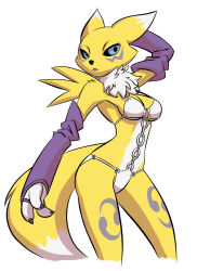 Rule 34 | digimon, digimon (creature), fluffy, fox girl, fox tail, furry, furry female, renamon, tail