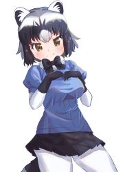 Rule 34 | 1girl, animal ears, black bow, black bowtie, black gloves, black skirt, blue sweater, blush, bow, bowtie, brown eyes, common raccoon (kemono friends), cowboy shot, elbow gloves, fur collar, gloves, grey hair, hair between eyes, hands on own chest, highres, houkokukokui, kemono friends, looking at viewer, multicolored hair, pantyhose, pleated skirt, puffy short sleeves, puffy sleeves, raccoon ears, raccoon girl, raccoon tail, short sleeves, sidelocks, skirt, smile, solo, sweater, tail, two-tone gloves, white fur, white gloves, white pantyhose