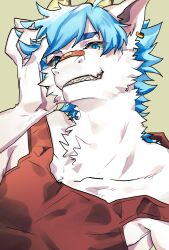 Rule 34 | 1boy, animal ears, bandaid, bandaid on face, bandaid on nose, blue eyes, blue hair, body fur, dragon boy, dragon horns, ear piercing, furry, furry male, green background, grin, hand in own hair, hand on own head, hand up, highres, horns, looking at viewer, male focus, mokotalow11, original, piercing, red tank top, sharp teeth, simple background, slit pupils, smile, solo, tank top, teeth, upper body, white fur