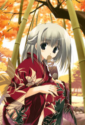 Rule 34 | 1girl, absurdres, bamboo, bamboo forest, hand fan, forest, grey eyes, grey hair, highres, japanese clothes, kimono, mitsumi misato, nature, solo
