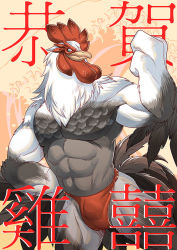 Rule 34 | 1boy, abs, bara, biceps, bird boy, briefs, bulge, chicken boy, chinese zodiac, feet out of frame, flexing, furry, furry male, kumahachi, large pectorals, looking at viewer, male focus, male underwear, muscular, muscular male, no nipples, original, pectorals, red male underwear, solo, stomach, thighs, topless male, translation request, underwear, underwear only, year of the rooster