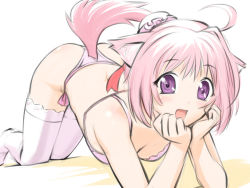 Rule 34 | 10s, 1girl, ahoge, all fours, animal ears, arm support, bra, breasts, cleavage, dog days, dog ears, dog girl, dog tail, long hair, looking at viewer, millhiore f. biscotti, open mouth, pink bra, pink hair, pink thighhighs, purple eyes, solo, tail, thighhighs, ueyama michirou, underwear