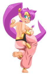 Rule 34 | 1girl, ass, breasts, dildo, feet, female focus, highres, looking at viewer, looking back, nipple piercing, nipples, object insertion, piercing, ponytail, sex toy, shantae, shantae (series), solo, topless