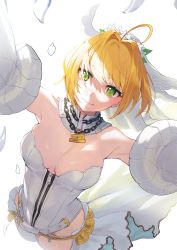 Rule 34 | 1girl, absurdres, ahoge, armpits, arms up, bare shoulders, belt, blonde hair, blush, breasts, bridal veil, burnt clothes, chain, cleavage, closed mouth, cropped legs, detached collar, detached sleeves, fate/grand order, fate (series), flower, from above, green eyes, hair flower, hair intakes, hair ornament, hakisou, highres, large breasts, leotard, lock, looking at viewer, looking up, nero claudius (bride) (fate), nero claudius (bride) (second ascension) (fate), nero claudius (fate), nero claudius (fate) (all), padlock, short hair, single thighhigh, skindentation, smile, solo, strapless, strapless leotard, thighhighs, veil, waist cape, white flower, white leotard, white thighhighs, zipper