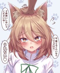 Rule 34 | 1girl, 1other, animal ear fluff, animal ears, blonde hair, blush, close-up, commentary, flying sweatdrops, fox ears, fox girl, frown, green ribbon, hair between eyes, headpat, heart, highres, kudamaki tsukasa, blue background, looking at viewer, medium hair, motion lines, open mouth, paw print, pov, pov hands, ribbon, shy, simple background, siw0n, solo focus, speech bubble, straight-on, sweatdrop, thought bubble, touhou, translated, tsurime, upturned eyes, white romper