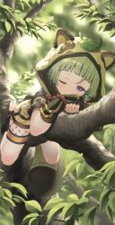 Rule 34 | 1girl, animal ears, black footwear, black gloves, blurry, blurry background, blush, boots, branch, brown flower, child, commentary request, covering own mouth, fake animal ears, fake tail, floral print, flower, genshin impact, gloves, green hair, green shirt, green shorts, hands up, hood, leaf, looking at viewer, lying, on stomach, one eye closed, purple eyes, raccoon ears, raccoon hood, rope, sayu (genshin impact), shirt, short hair, short sleeves, shorts, solo, tail, tree, yuujin (yuzinn333)