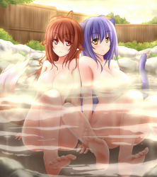 Rule 34 | 2girls, anakin sky (utcc), animal ears, antenna hair, barefoot, breasts, brown hair, censored, cleavage, convenient censoring, large breasts, long hair, multiple girls, nude, onsen, original, partially submerged, purple hair, red eyes, sitting, steam, steam censor, tail, water, yellow eyes