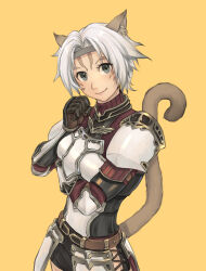 Rule 34 | 1girl, animal ears, armor, adventurer (ff11), belt, black armor, boobplate, breastplate, breasts, brown belt, brown tail, cactus41747280, cat ears, cat girl, cat tail, closed mouth, facial mark, faulds, final fantasy, final fantasy xi, grey eyes, grey hair, grey headband, hair intakes, hand up, headband, highres, medium breasts, mithra (ff11), no eyebrows, short hair, smile, solo, tail, tail raised, turtleneck, whisker markings, white armor, yellow background