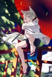 Rule 34 | 1girl, animal ears, clog sandals, closed mouth, fox ears, fox tail, grey eyes, grey hair, highres, holding, holding umbrella, long sleeves, looking at viewer, nagishiro mito, oil-paper umbrella, okobo, outdoors, sandals, short hair, shorts, sitting, sitting on object, smile, solo, tail, torii, tree, umbrella