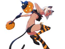 Rule 34 | 1girl, animal ears, ass, bad id, bad twitter id, blue eyes, bra, breasts, butt crack, cat ears, cat tail, dark-skinned female, dark skin, jack-o&#039;-lantern, looking back, maplestory, maplestory 2, medium breasts, nora (supernew), panties, pumpkin, short hair, simple background, solo, striped clothes, striped thighhighs, supernew, tail, thighhighs, underwear, underwear only, white background, white hair