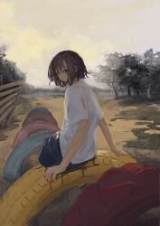 Rule 34 | 1girl, absurdres, brown hair, cloud, cloudy sky, eliot (eokaitekaite969), fence, grey eyes, highres, landscape, looking at viewer, nature, original, outdoors, playground, scenery, shirt, short hair, sitting, sky, solo, tire, tree, wide shot, wooden fence