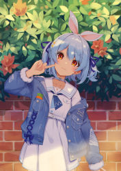 Rule 34 | 1girl, :3, absurdres, blue hair, blue jacket, blue neckerchief, blue ribbon, blush, brick wall, choker, closed mouth, earrings, flower, hair ornament, hair ribbon, hand up, highres, hololive, index finger raised, jacket, jewelry, long sleeves, looking at viewer, multicolored hair, neckerchief, official alternate costume, open clothes, open jacket, plant, rabbit earrings, red eyes, red flower, ribbon, sailor collar, shirt, short eyebrows, shyi, skirt, solo, streaked hair, thick eyebrows, usada pekora, usada pekora (casual), virtual youtuber, white choker, white hair, white sailor collar, white shirt, white skirt