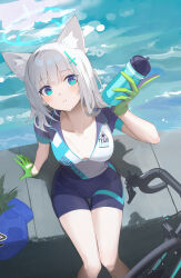Rule 34 | 1girl, absurdres, animal ear fluff, animal ears, arm up, bicycle, bike jersey, bike shorts, blue archive, blue eyes, blue mask, blue shorts, bottle, breasts, cleavage, collarbone, cycling uniform, day, extra ears, gloves, green gloves, grey hair, hair ornament, halo, highres, holding, holding bottle, looking at viewer, mask, medium breasts, milim nova, mismatched pupils, ocean, official alternate costume, open mouth, outdoors, road bicycle, shiroko (blue archive), shiroko (cycling) (blue archive), short hair, short sleeves, shorts, sitting, solo, sportswear, sweat, thigh gap, water, water bottle, x hair ornament