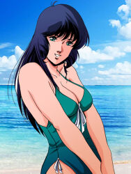 Rule 34 | 1980s (style), 1girl, beach, black hair, breasts, choujikuu yousai macross, cloud, comiket 96, commentary request, drill hair, drill sidelocks, green eyes, grin, long hair, looking at viewer, lynn minmay, macross, macross: do you remember love?, medium breasts, ocean, official style, oldschool, photo background, retro artstyle, robotech, sidelocks, smile, swimsuit, tachibana kazuto, teeth