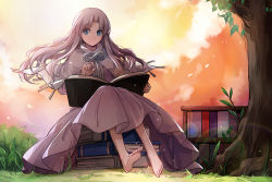 Rule 34 | .hack//, .hack//games, 1girl, aura (.hack//), barefoot, blue eyes, book, brooch, capelet, dress, full body, grey hair, jewelry, long hair, md5 mismatch, open book, pink dress, reading, resolution mismatch, sindre, sitting, smile, solo, source smaller, tree