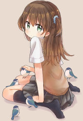 Rule 34 | 1girl, animal, beige sweater, bird, black skirt, black socks, blush, brown hair, closed mouth, commentary request, dot mouth, dot nose, eyebrows hidden by hair, full body, green eyes, hair between eyes, hair ornament, hair scrunchie, hand on animal, hand on another&#039;s head, headpat, highres, kiri (hakobato), long hair, looking at viewer, looking back, no shoes, original, pleated skirt, scrunchie, shadow, shirt, short sleeves, simple background, sitting, skirt, socks, solo, two side up, uniform, wariza, white background, white shirt