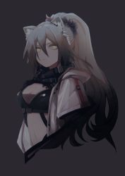 Rule 34 | 1girl, animal ear fluff, animal ears, arknights, black scarf, breasts, brh, cat ears, chinese commentary, cleavage, commentary request, crop top, cropped torso, grey background, hair between eyes, jacket, long hair, looking at viewer, medium breasts, midriff, navel, open clothes, open jacket, scarf, schwarz (arknights), silver hair, simple background, solo, stomach, upper body, white jacket, yellow eyes